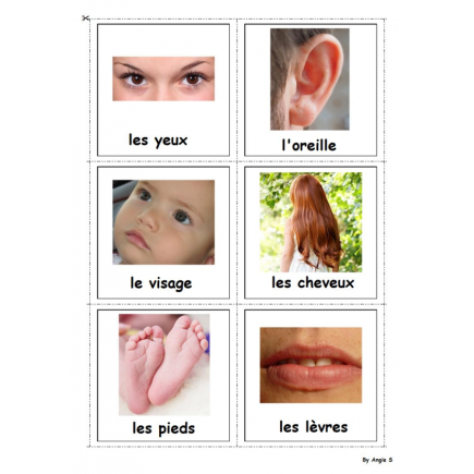 French Body Parts Vocabulary - Les parties du corps